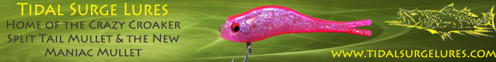 http://www.tidalsurgelures.com/